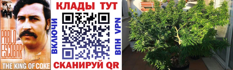 Купить закладку COCAIN  A PVP  ГАШИШ  Конопля  Меф  Сегежа