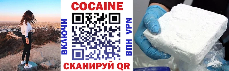 Купить закладки  Сегежа  Кокаин Fish Scale 