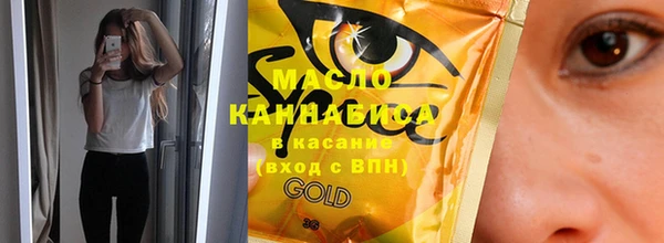 дмт Пересвет